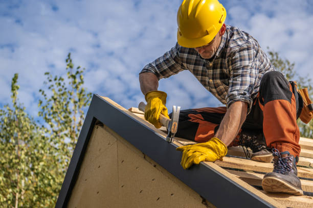 Best Roof Moss and Algae Removal  in USA